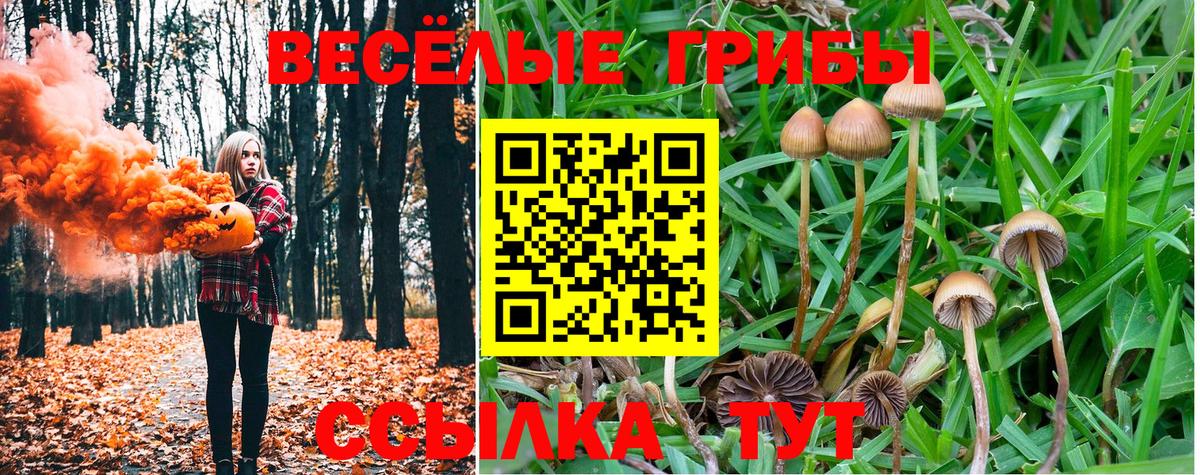 Галлюциногенные грибы Psilocybe  Вход с VPN  Нижний Тагил  Галлюциногенные грибы Psilocybine cubensis 